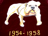 TOYO